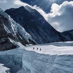 саша кузнецов