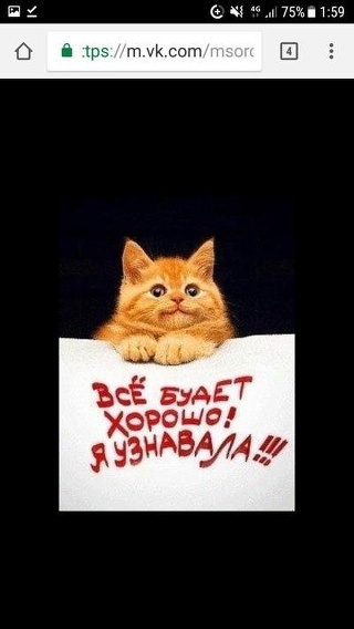 Юлия Озерова