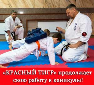 Фотография Школа Единоборств "КРАСНЫЙ ТИГР" 5