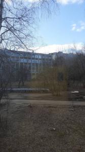 Фотография Надежда 3