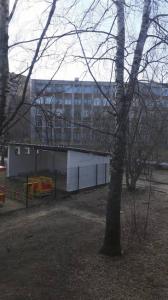 Фотография Надежда 1