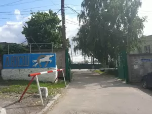 Фотография СДЮСШОР по современному пятиборью и конному спорту 5