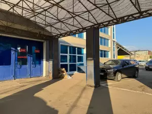 Фотография Platinum 3