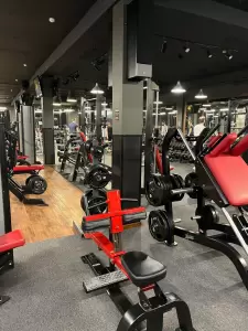 Фотография Scout 3